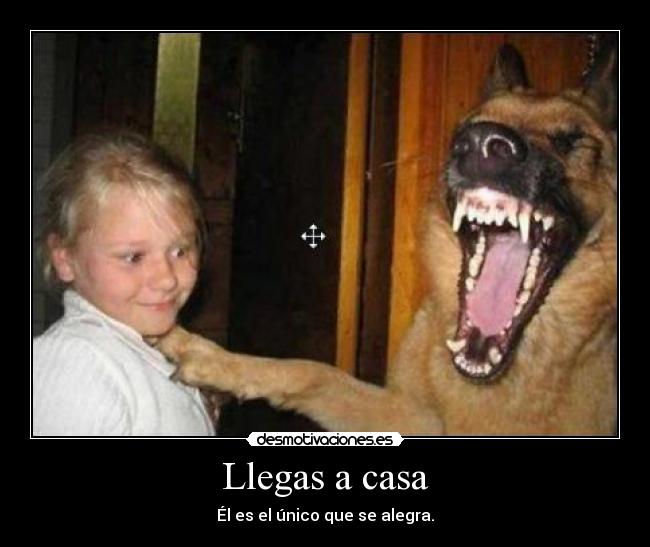 Llegas a casa -