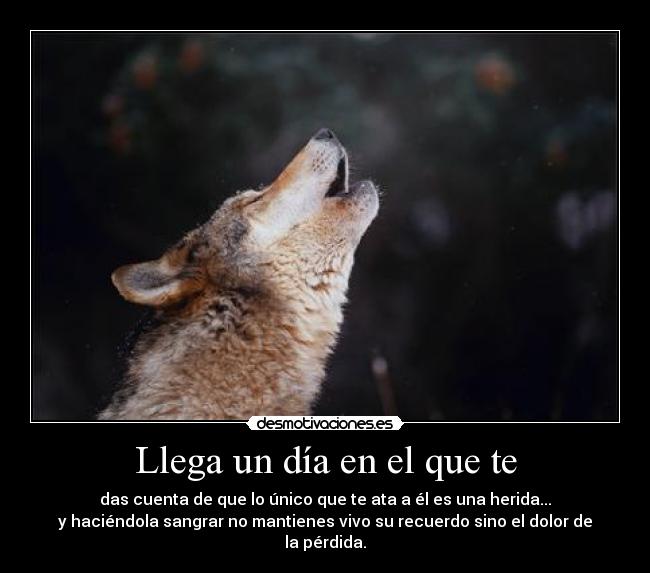 Llega un día en el que te - 