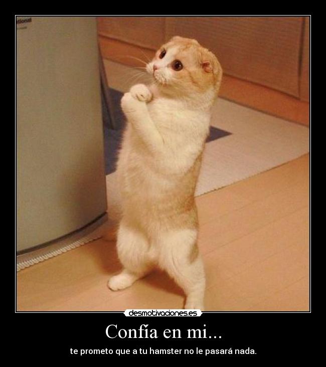 Confía en mi... - 