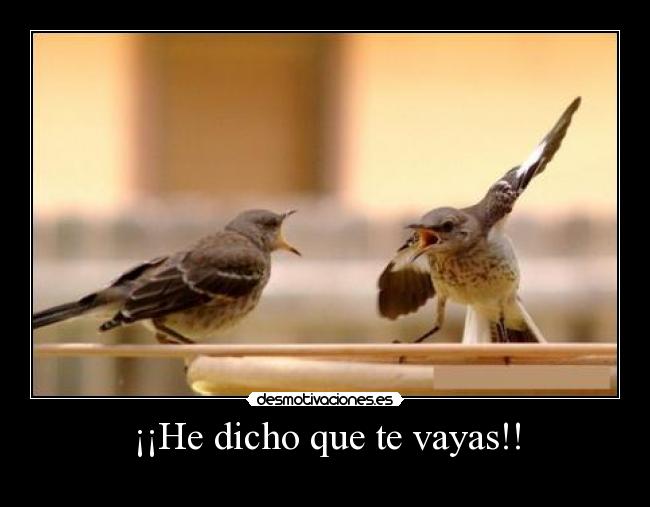 ¡¡He dicho que te vayas!! - 