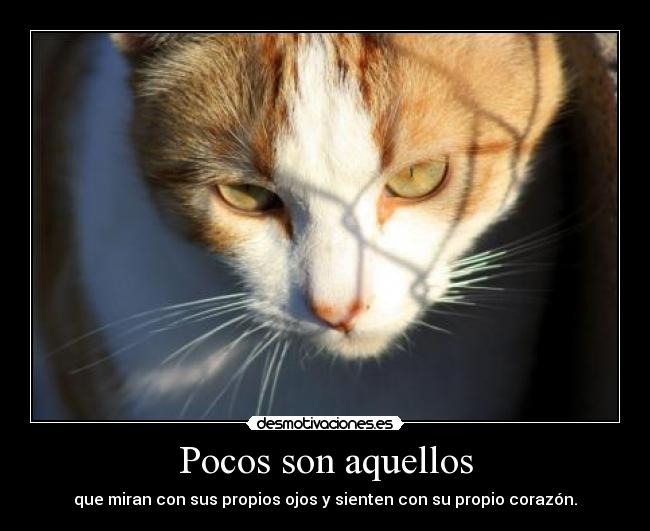 carteles ojos corazon foto por eva lledo desmotivaciones