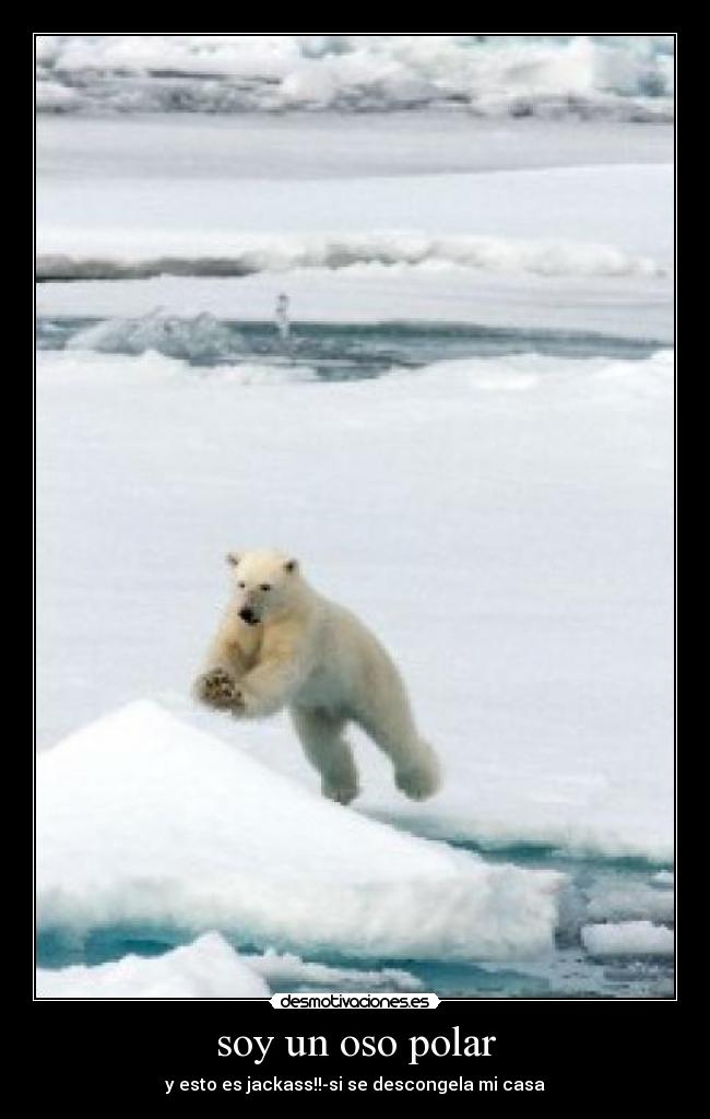 soy un oso polar - y esto es jackass!!-si se descongela mi casa