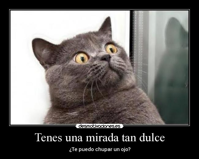 Tenes una mirada tan dulce - ¿Te puedo chupar un ojo?