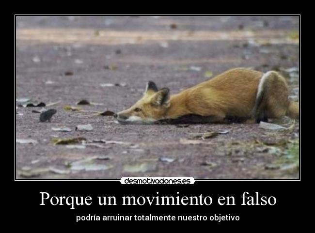 carteles zorro sapo movimiento falso desmotivaciones