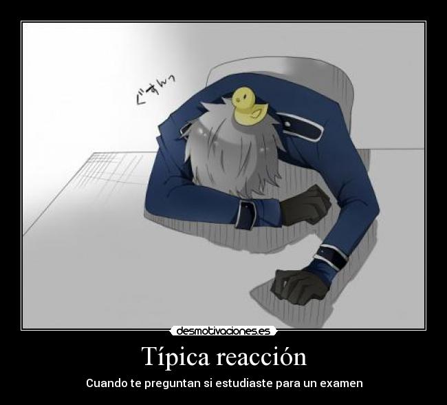 carteles true story prusia aph axis powers hetalia anime manga nigatsu tipica reaccion para examen desmotivaciones