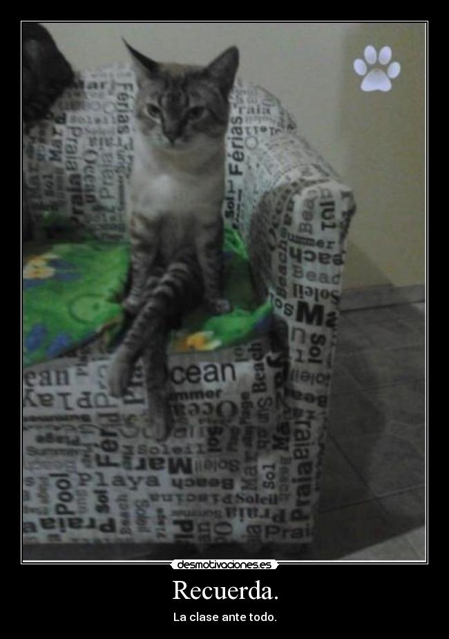 carteles recuerda desmotivaciones