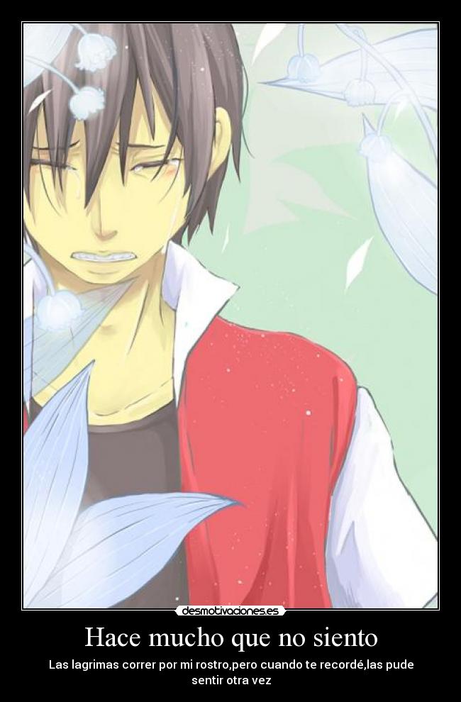 Hace mucho que no siento -