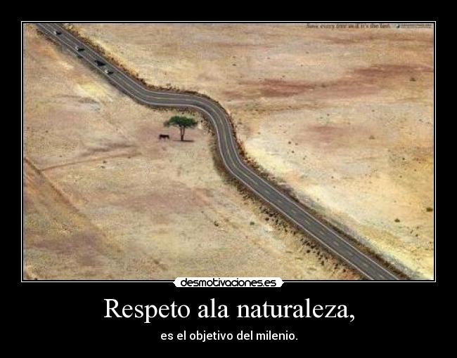 Respeto ala naturaleza, -