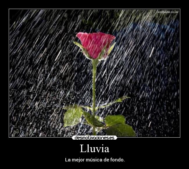 Lluvia - La mejor música de fondo.