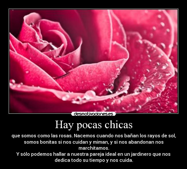 Hay pocas chicas - que somos como las rosas. Nacemos cuando nos bañan los rayos de sol,
somos bonitas si nos cuidan y miman, y si nos abandonan nos
marchitamos.
Y sólo podemos hallar a nuestra pareja ideal en un jardinero que nos
dedica todo su tiempo y nos cuida.