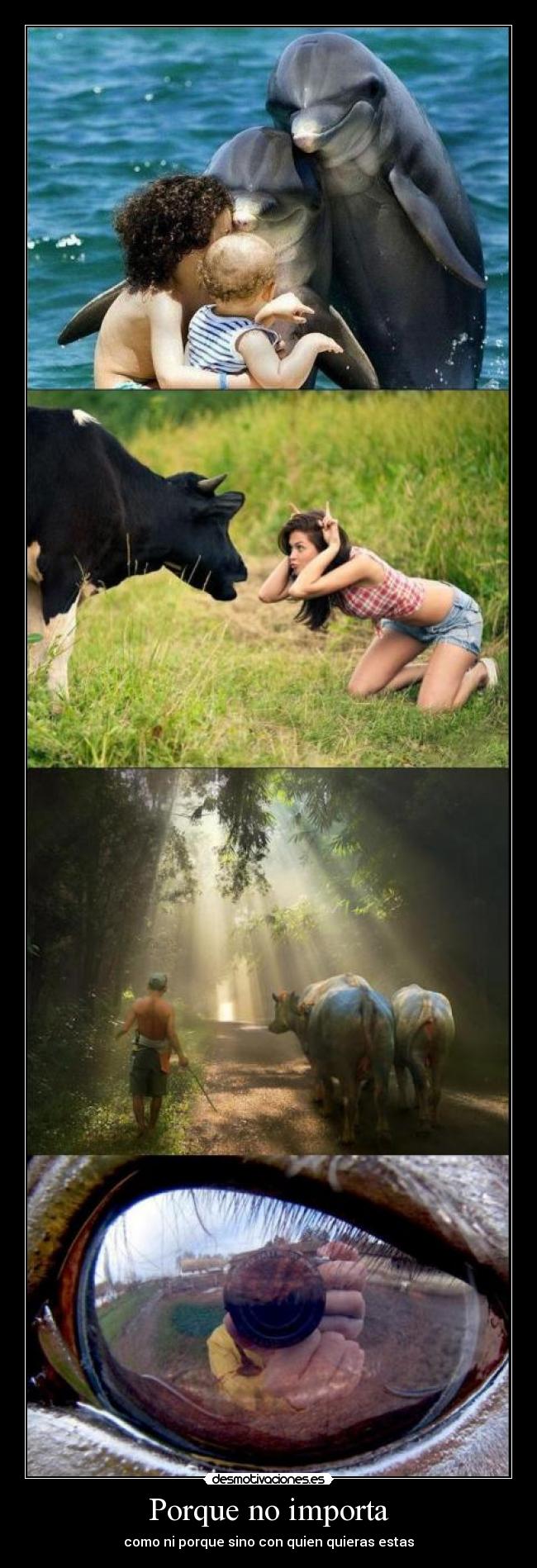 carteles reflexion animal desmotivaciones