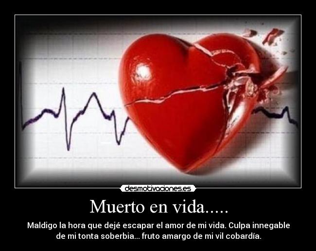 Muerto en vida..... - Maldigo la hora que dejé escapar el amor de mi vida. Culpa innegable
de mi tonta soberbia... fruto amargo de mi vil cobardía.