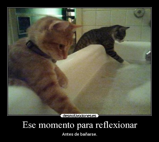 Ese momento para reflexionar - 