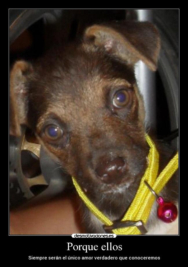 Porque ellos - Siempre serán el único amor verdadero que conoceremos