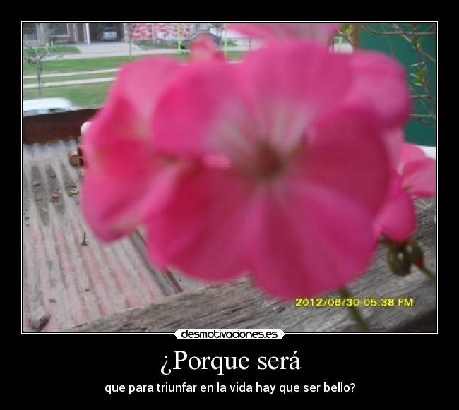 ¿Porque será - que para triunfar en la vida hay que ser bello?