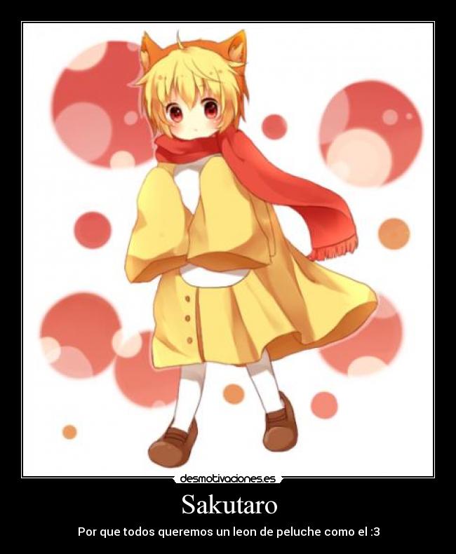 Sakutaro - Por que todos queremos un leon de peluche como el :3