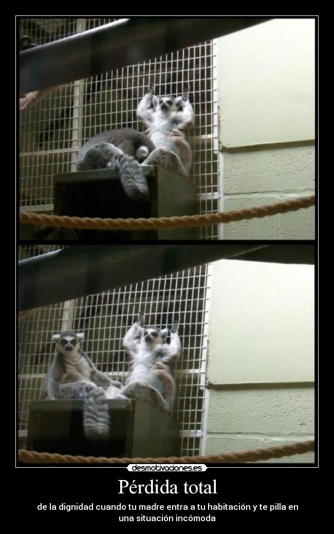 carteles verguenza completa desmotivaciones