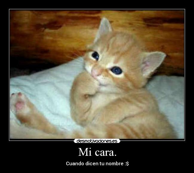 Mi cara. - 