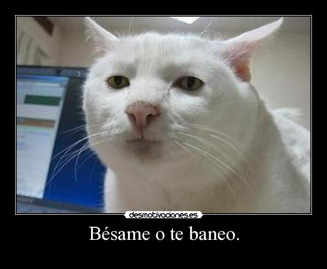 Imágenes y Carteles de CACHONDO Pag.