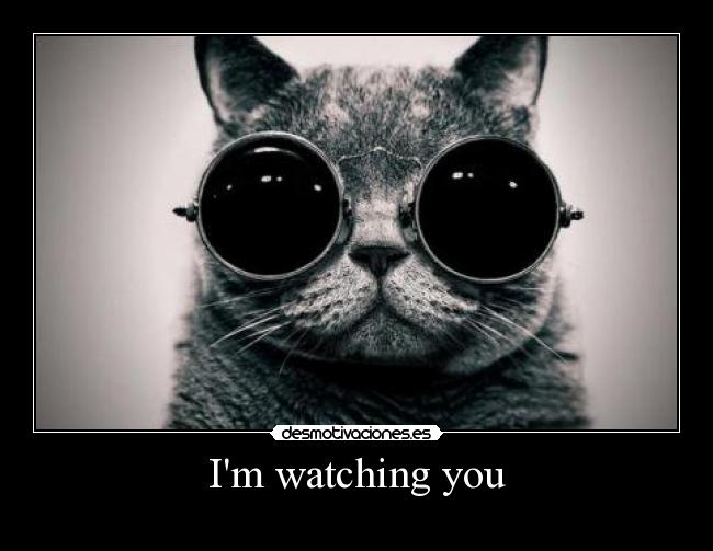 Im watching you -