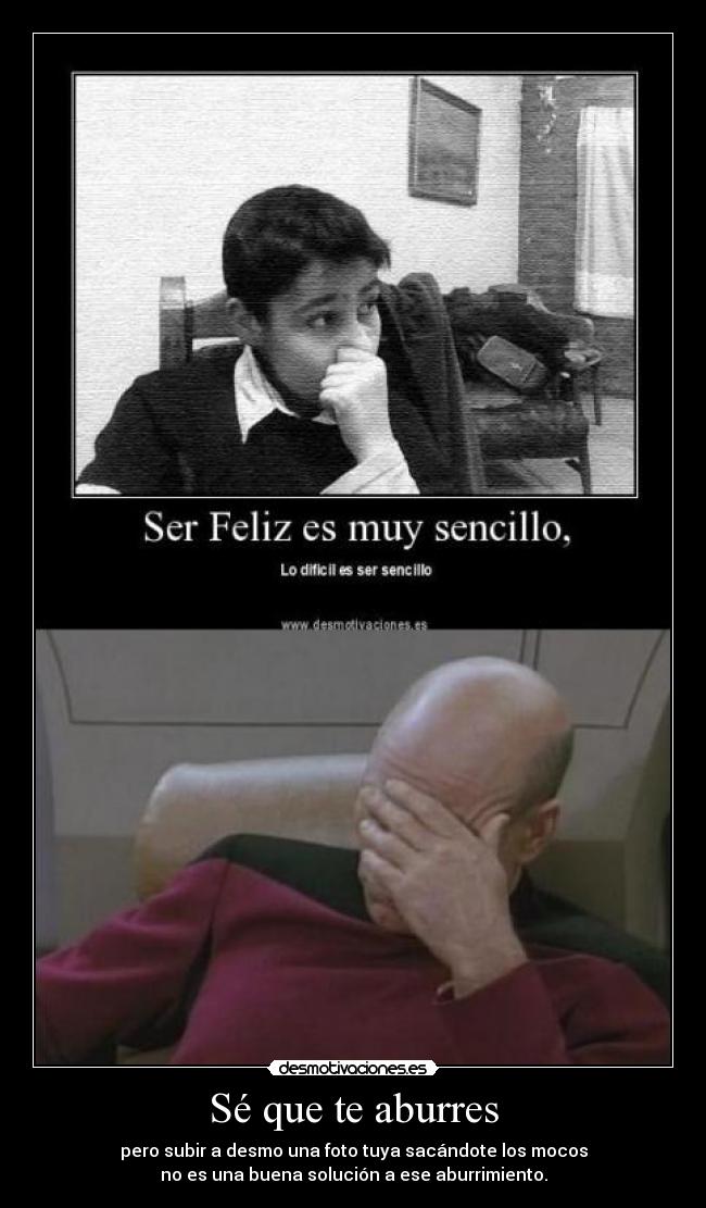 carteles youtube money bitch desmotivaciones