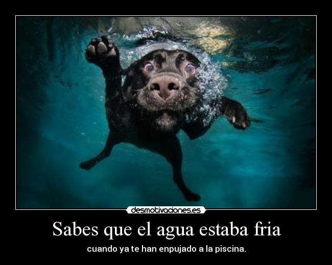 Sabes que el agua estaba fria -