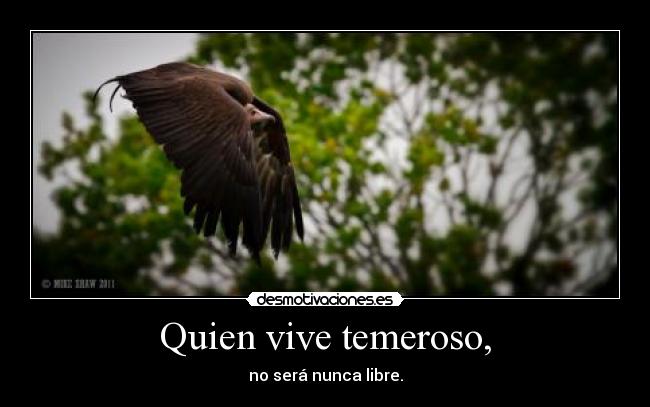 carteles tu que temes desmotivaciones