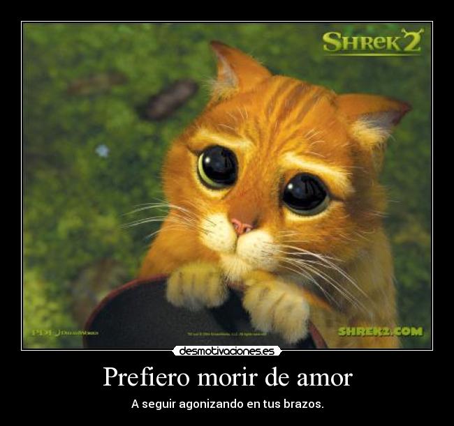 Prefiero morir de amor - 