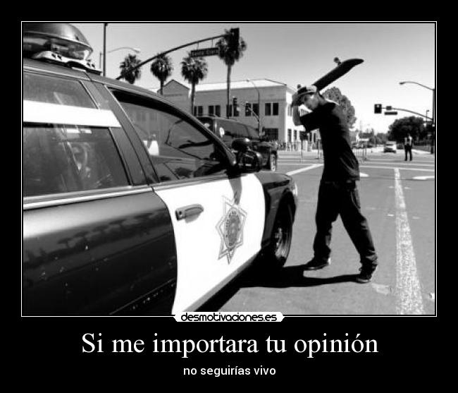 Si me importara tu opinión -