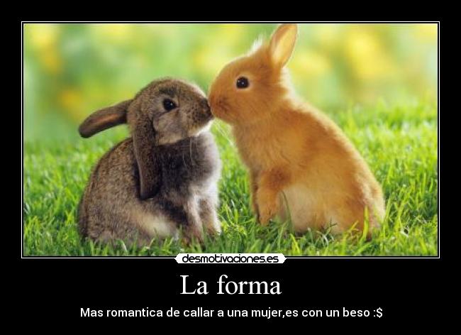 La forma - Mas romantica de callar a una mujer,es con un beso :$