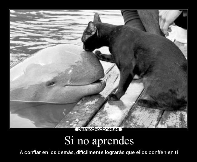 Si no aprendes - A confiar en los demás, difícilmente lograrás que ellos confíen en ti