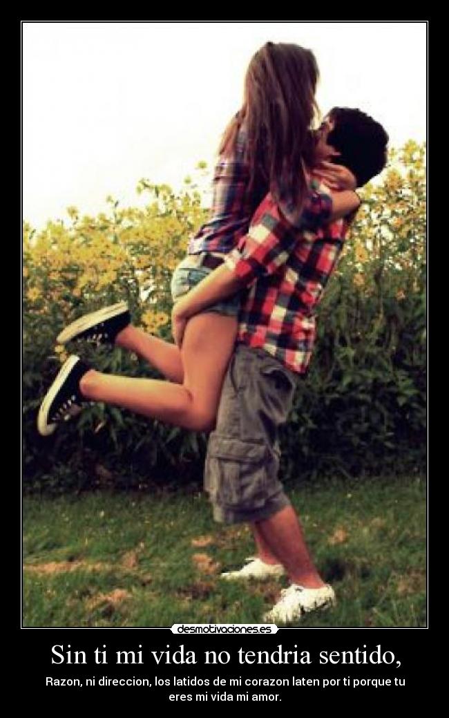 carteles vida l2sj desmotivaciones