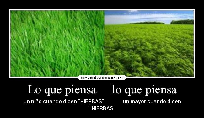 Lo que piensa     lo que piensa - un niño cuando dicen HIERBAS               un mayor cuando dicen HIERBAS