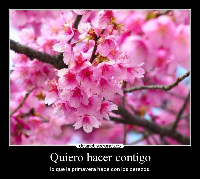 Quiero hacer contigo - lo que la primavera hace con los cerezos.