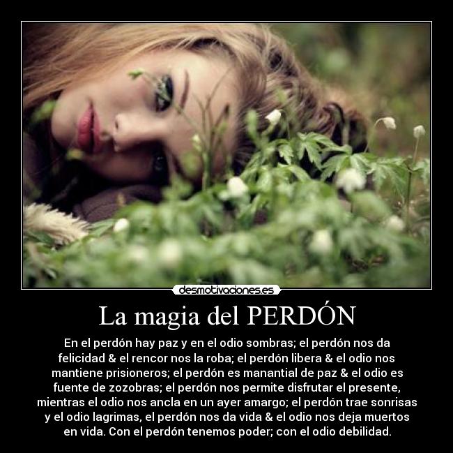 La magia del PERDÓN - En el perdón hay paz y en el odio sombras; el perdón nos da
felicidad & el rencor nos la roba; el perdón libera & el odio nos
mantiene prisioneros; el perdón es manantial de paz & el odio es
fuente de zozobras; el perdón nos permite disfrutar el presente,
mientras el odio nos ancla en un ayer amargo; el perdón trae sonrisas
y el odio lagrimas, el perdón nos da vida & el odio nos deja muertos
en vida. Con el perdón tenemos poder; con el odio debilidad.