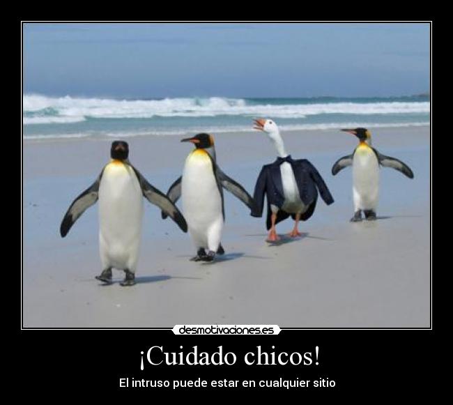 ¡Cuidado chicos! - El intruso puede estar en cualquier sitio