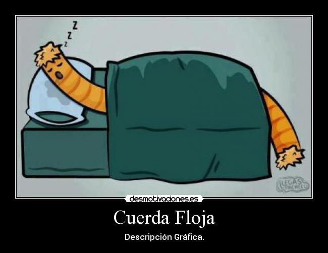 Cuerda Floja - Descripción Gráfica.