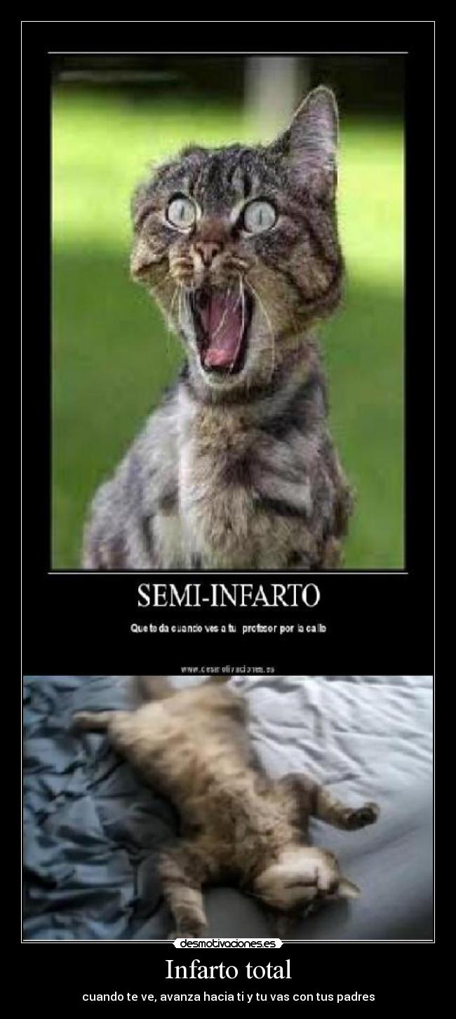Infarto total - cuando te ve, avanza hacia ti y tu vas con tus padres