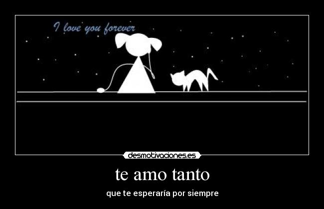 te amo tanto - que te esperaría por siempre