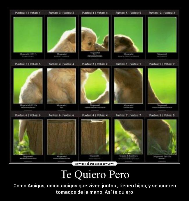 Te Quiero Pero - Como Amigos, como amigos que viven juntos , tienen hijos, y se mueren
tomados de la mano, Así te quiero