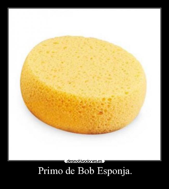Primo de Bob Esponja. - 