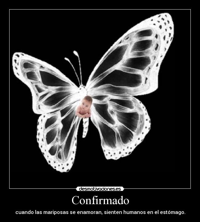 Confirmado - cuando las mariposas se enamoran, sienten humanos en el estómago.
