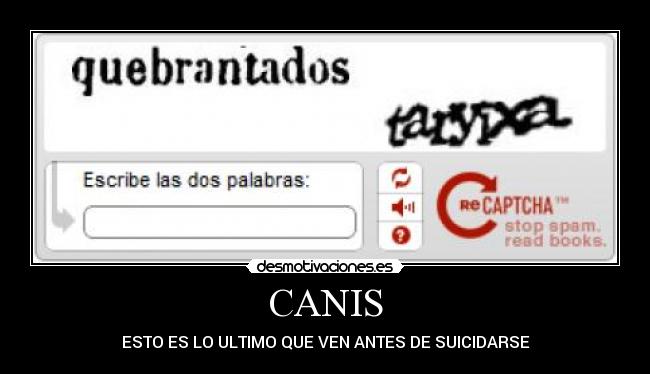 CANIS - ESTO ES LO ULTIMO QUE VEN ANTES DE SUICIDARSE