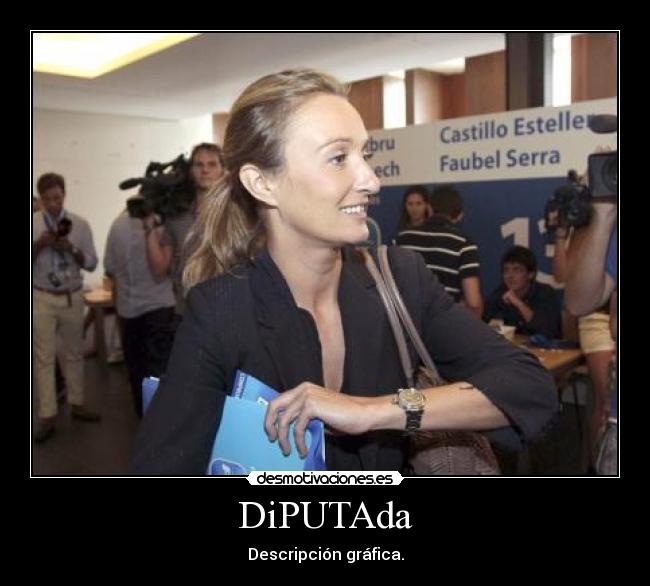 DiPUTAda - Descripción gráfica.