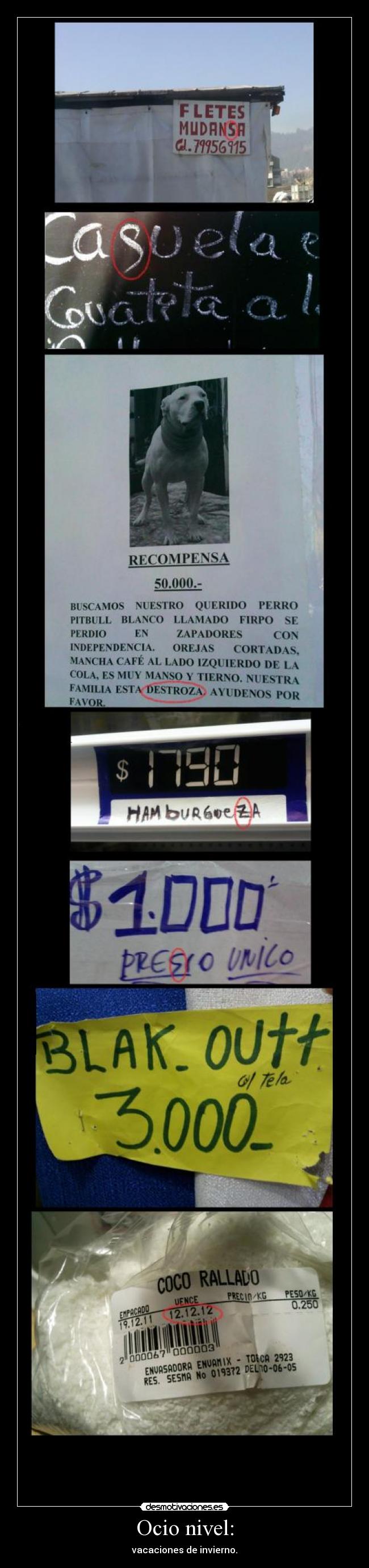 Ocio nivel: - vacaciones de invierno.