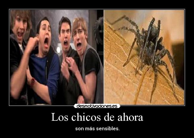 Los chicos de ahora -