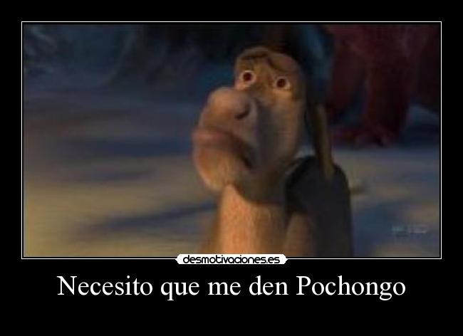 Necesito que me den Pochongo -