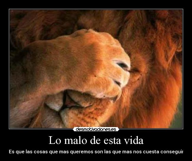 Lo malo de esta vida - Es que las cosas que mas queremos son las que mas nos cuesta conseguir