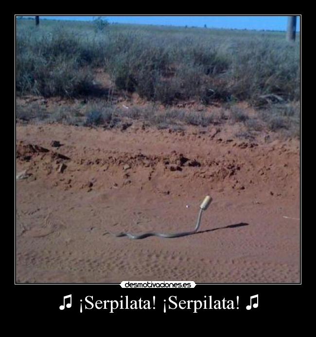 ♫ ¡Serpilata! ¡Serpilata! ♫ -