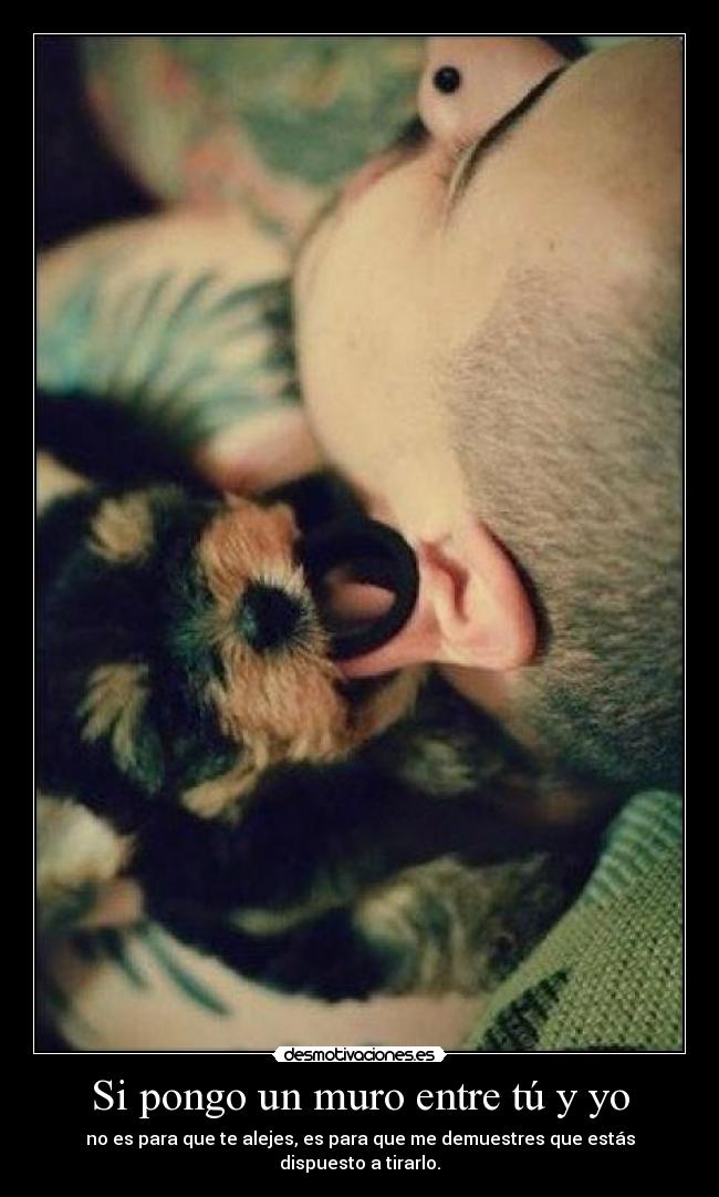 Si pongo un muro entre tú y yo - no es para que te alejes, es para que me demuestres que estás dispuesto a tirarlo.